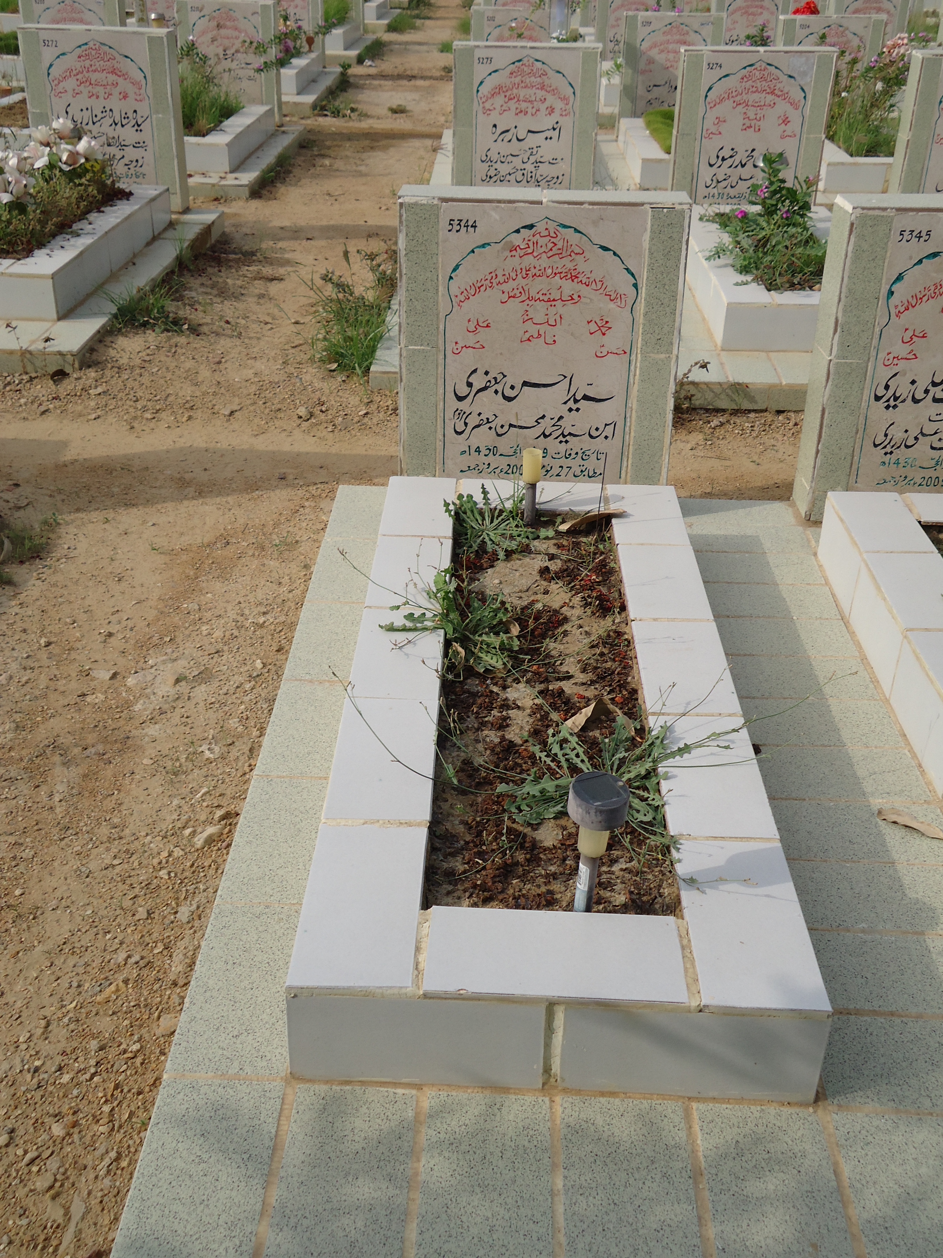 5344 – Syed Ahsan Jaffery